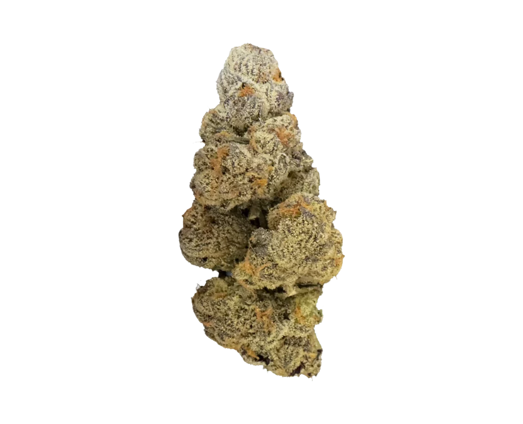 BCG-GasFace-Flower-Image1
