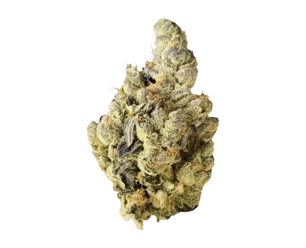 BCG-GumboPow-Flower-Image1